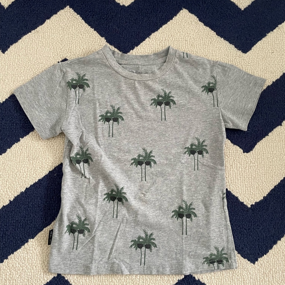 Boys 10 tees, chaser, tiny tribe, jcrew, JEM, junk food, kid dangerous, prefresh